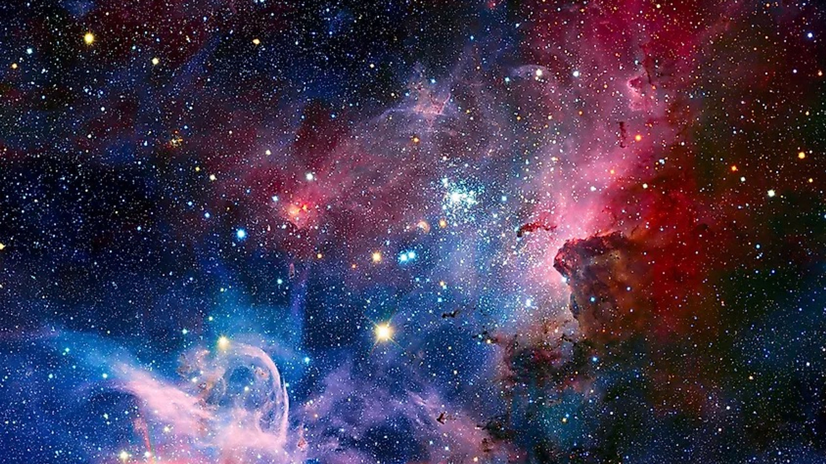 Consciousness Interviews